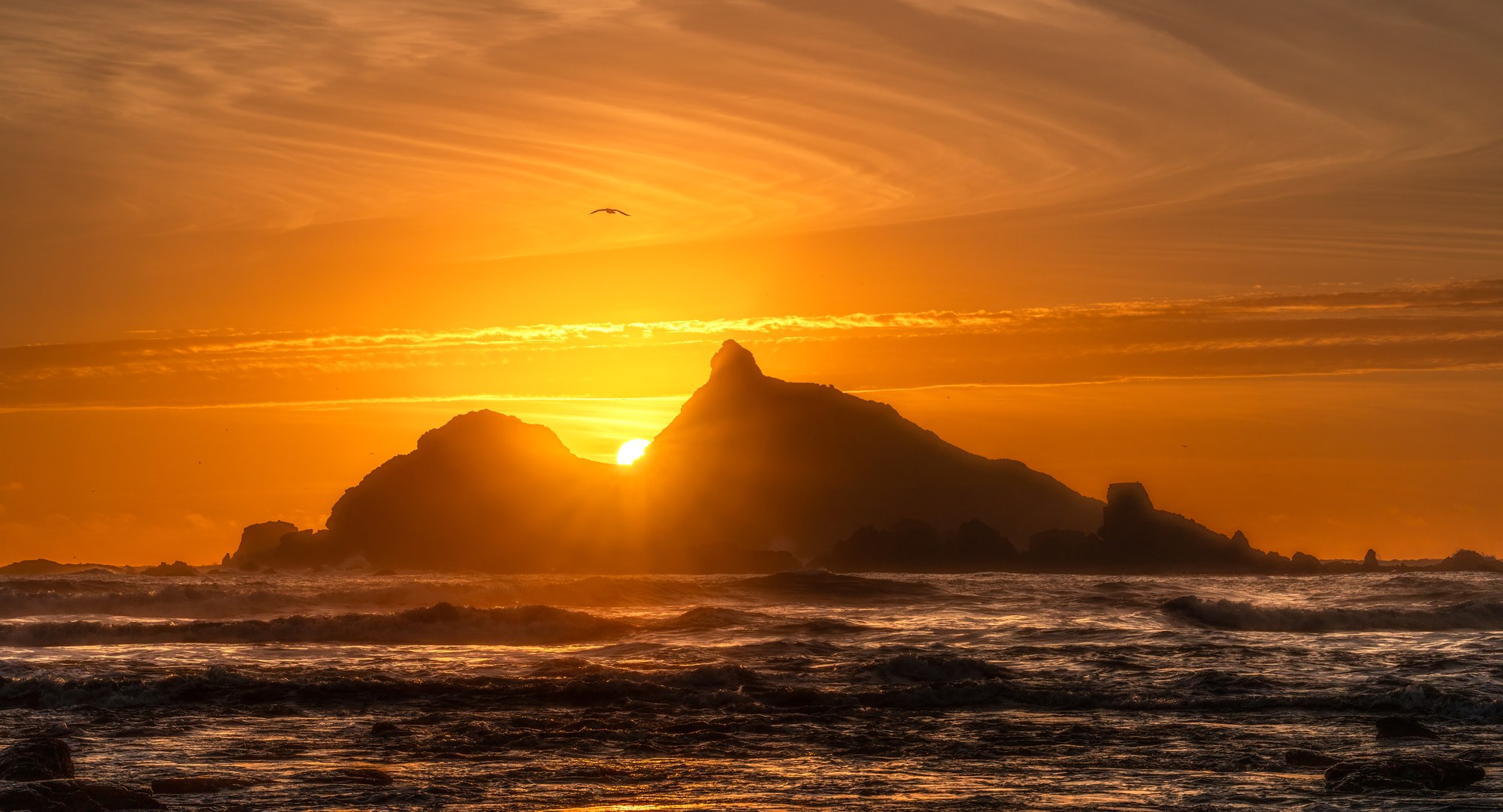 Sun setting in the gap between two silhouetted sea stacks, golden sky and amber surf below, a lone bird flying overhead