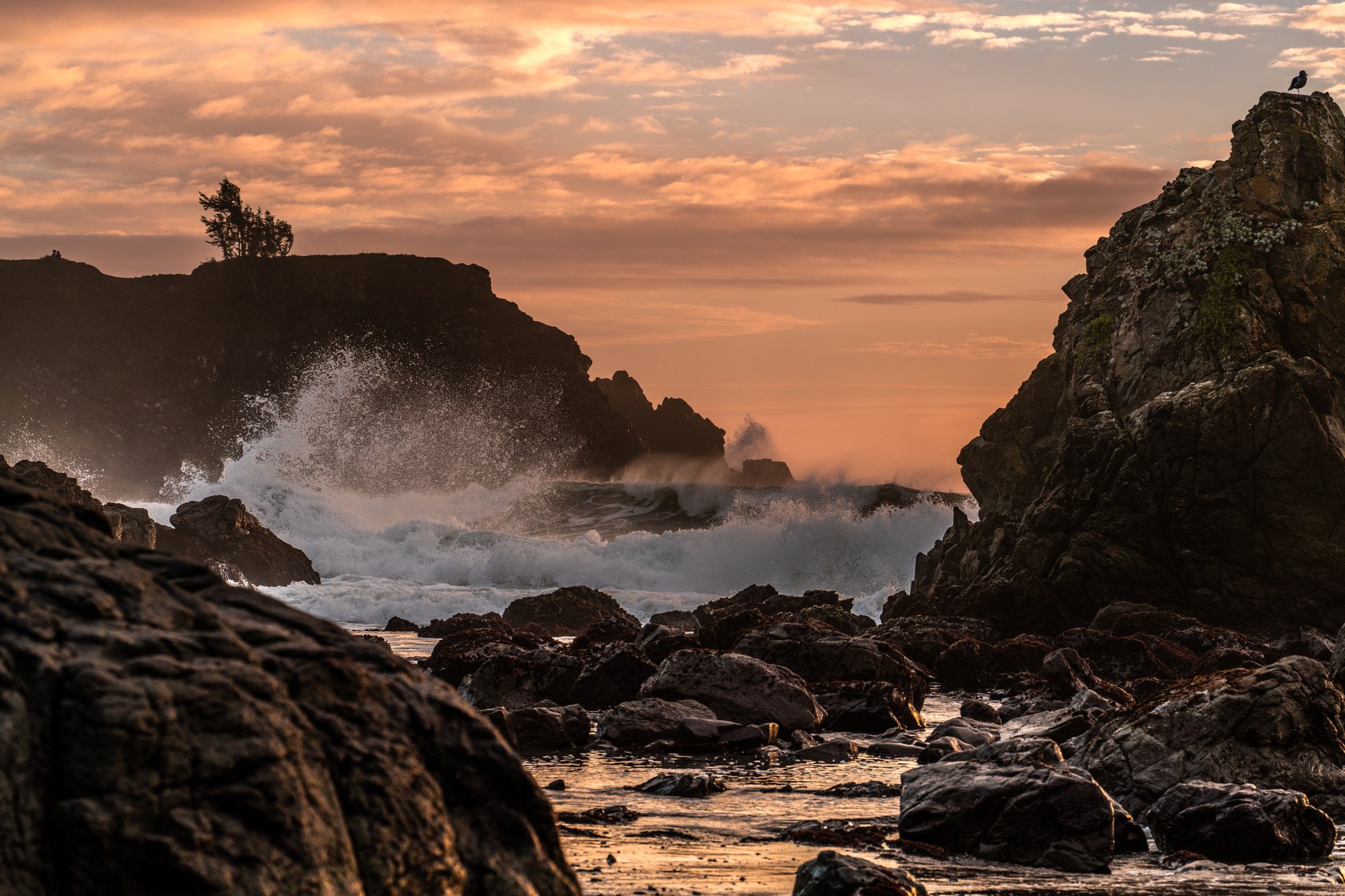Waves crashing against sea stacks on a rocky shore at sunset under pink clouds, a bird perched on the tall rock at right