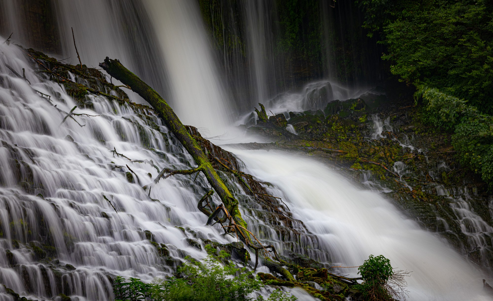 Long-exposure waterfall spilling in silky veils over mossy rock ledges, a fallen moss-covered log lying across the flow