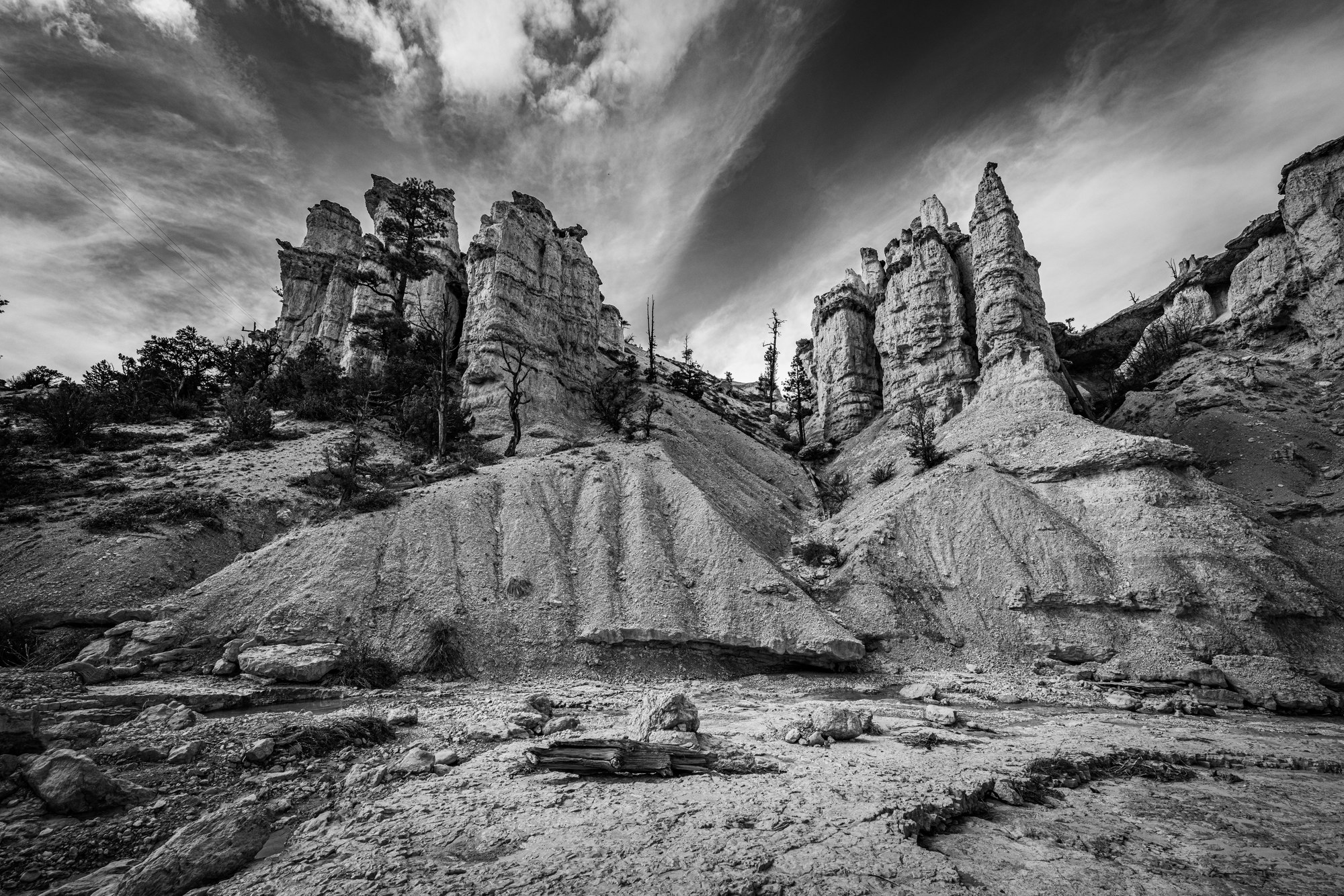 Black-and-white view from a dry wash looking up at eroded hoodoo spires, pines clinging to the slopes, streaked clouds in the sky