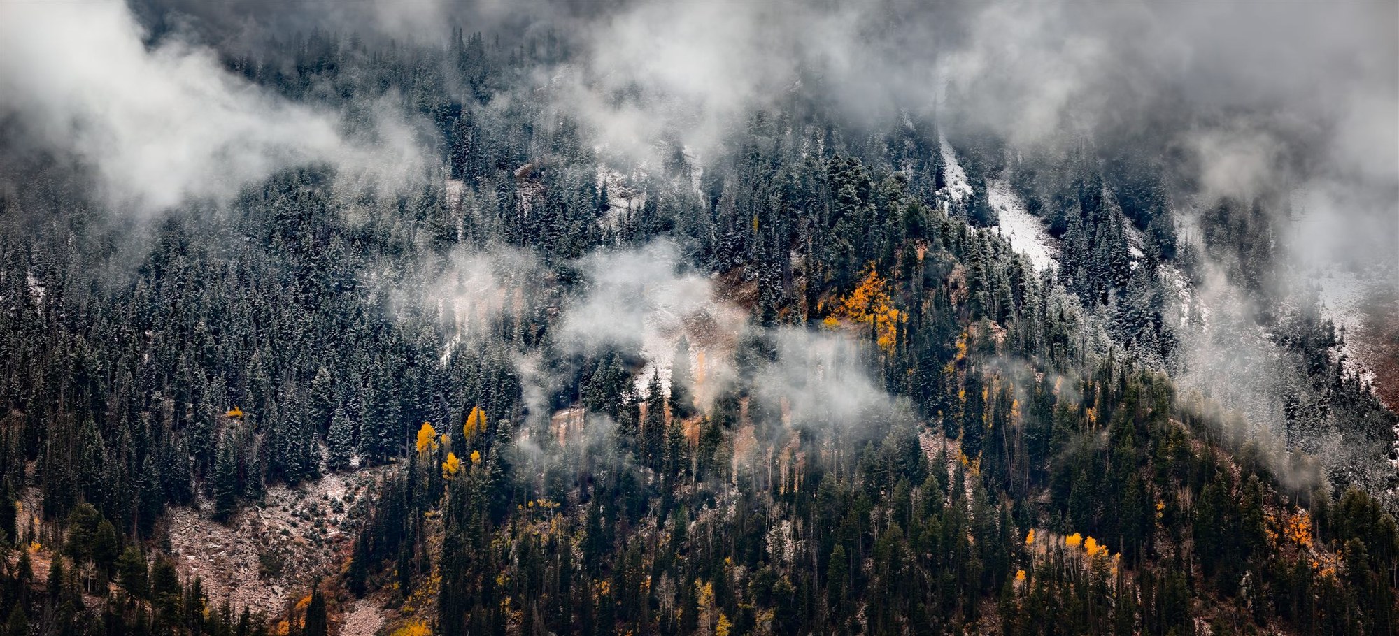 Snow-dusted spruce and gold aspens on a Utah ridge with cloud tearing through