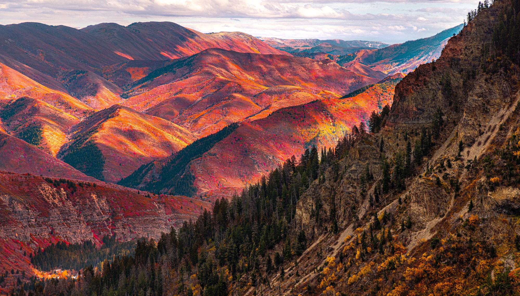 Autumn mountainsides covered in red and orange brush, ridges receding into the distance, dark evergreens on a rocky canyon slope in the foreground